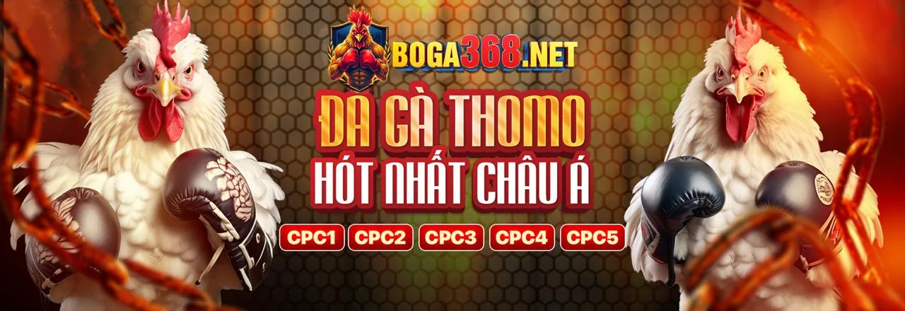Thưởng chào mừng thành viên mới tin88 bet