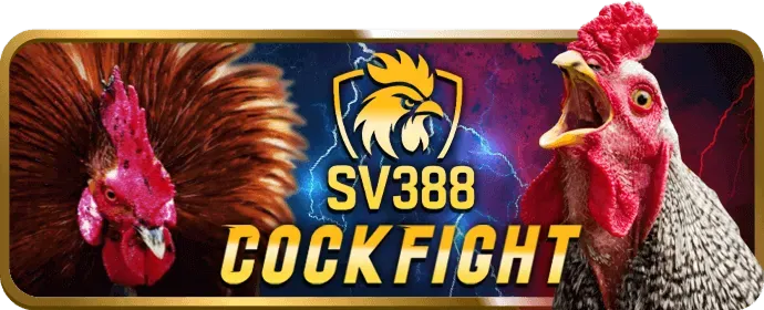 Đội ngũ chuyên gia của tin88 bet làm việc cùng nhau